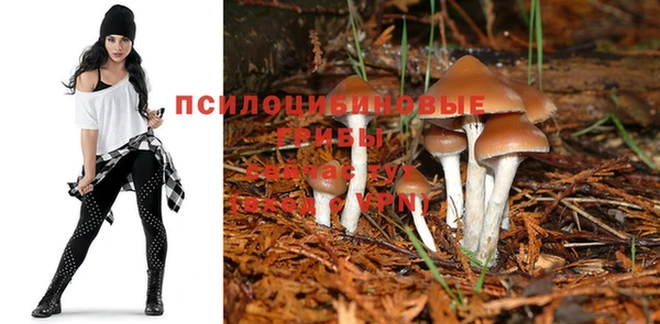 МДМА Беломорск