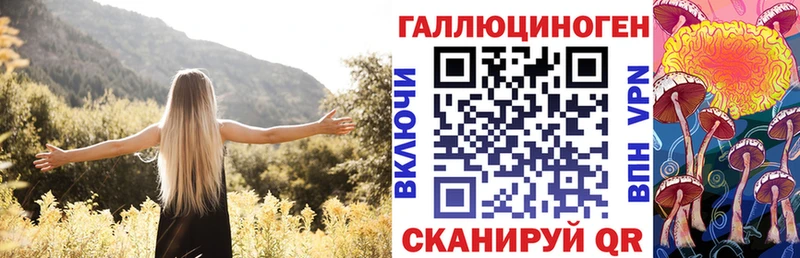 Псилоцибиновые грибы Psilocybe купить цена Верхний Уфалей
